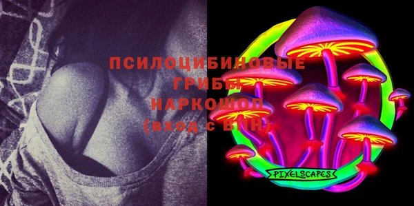 твердый Алексин