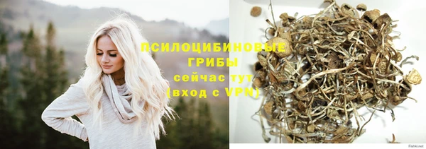 дживик Алексеевка